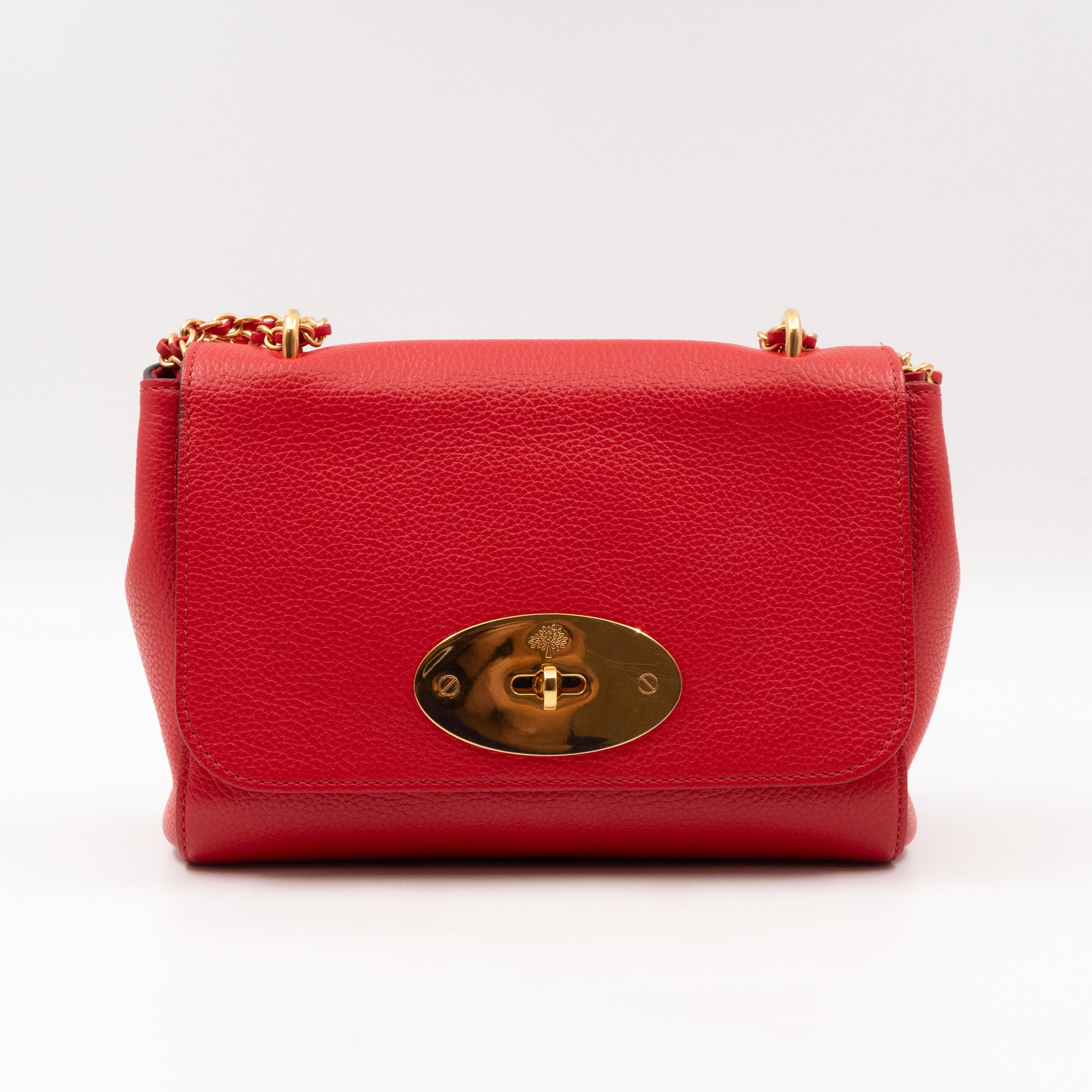Lily Small Ruby Red Leather Gold