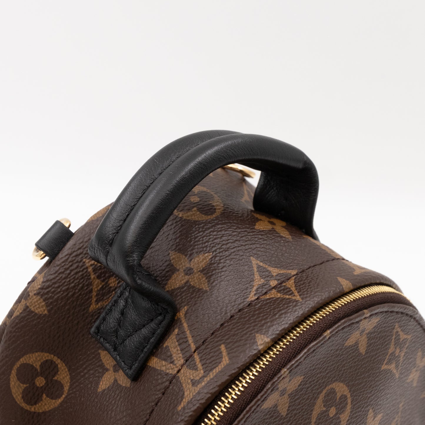 Palm Springs Backpack Mini Monogram Macassar