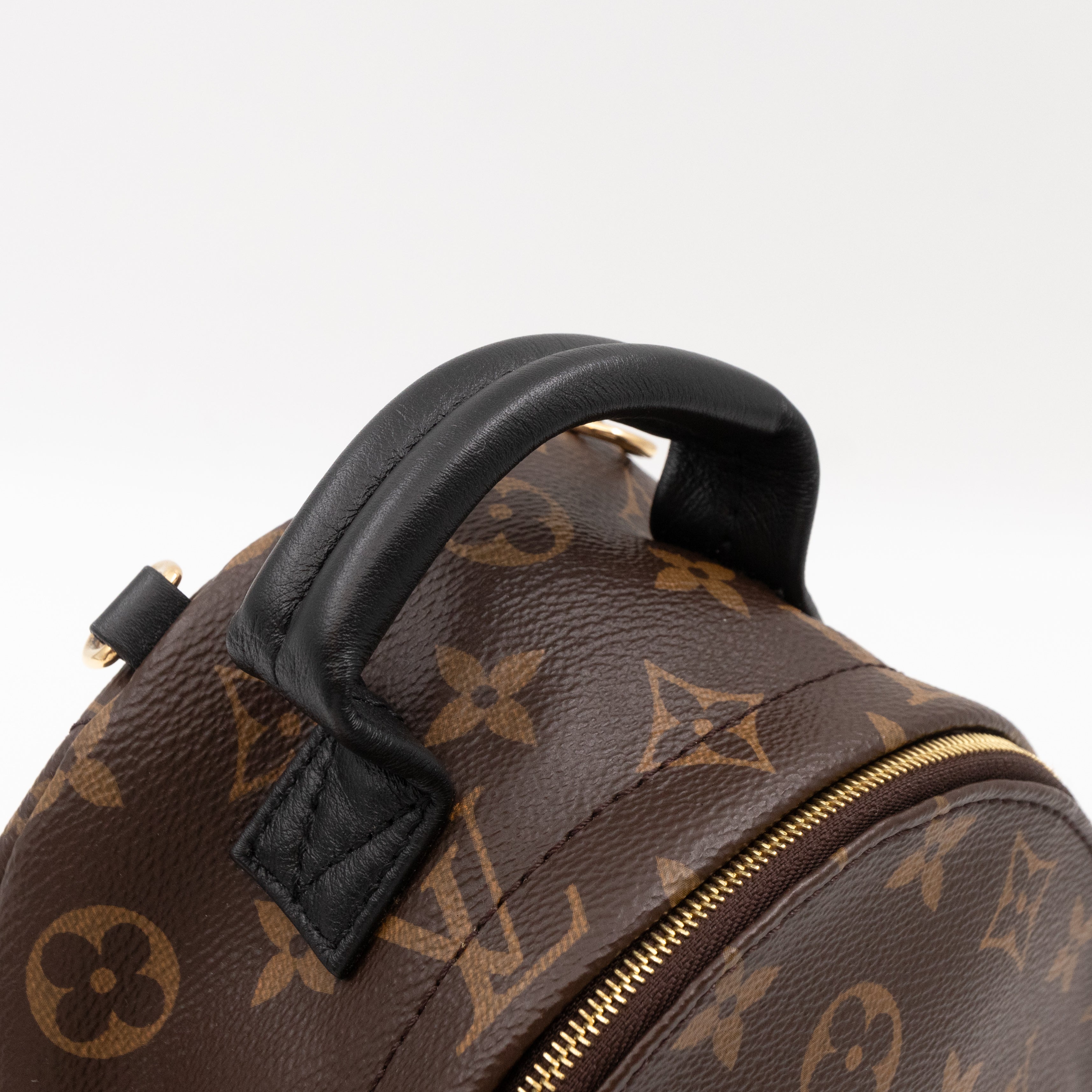 Palm Springs Backpack Mini Monogram Macassar