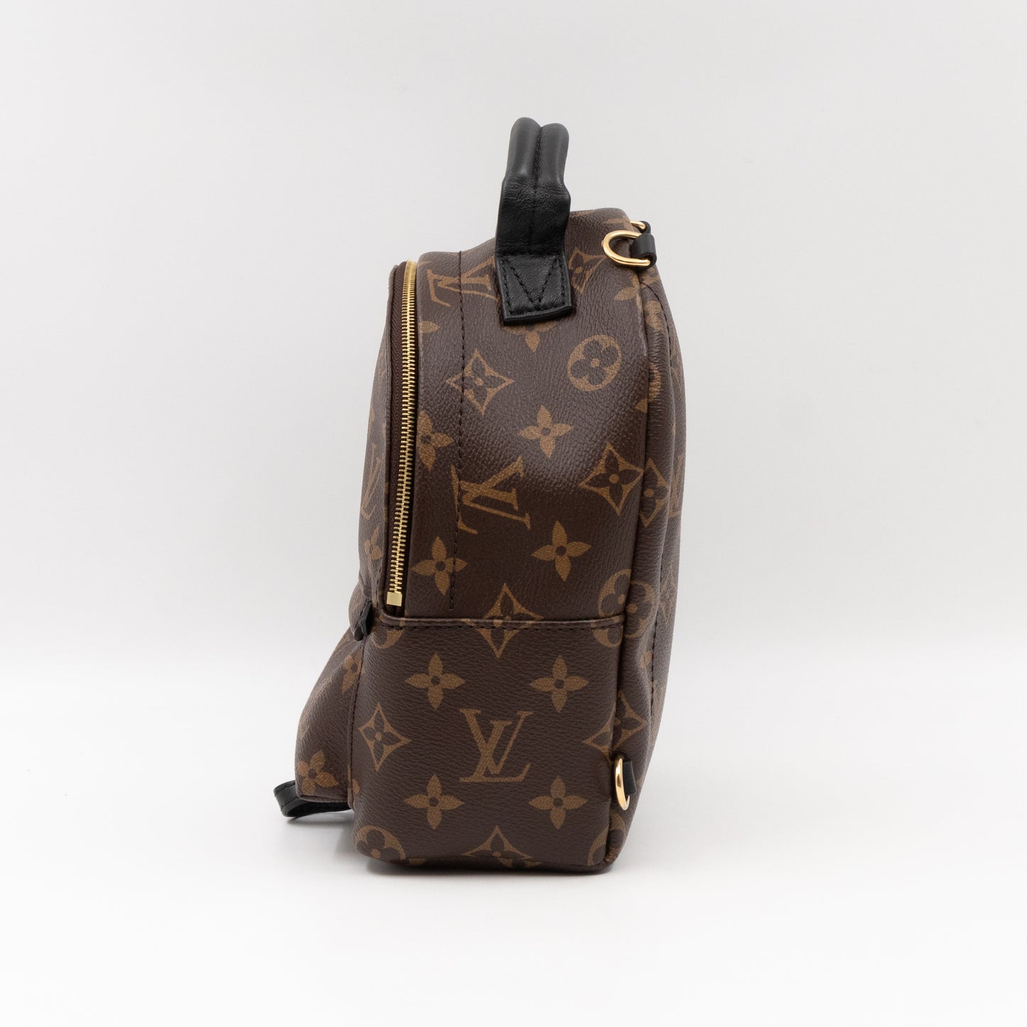 Palm Springs Backpack Mini Monogram Macassar