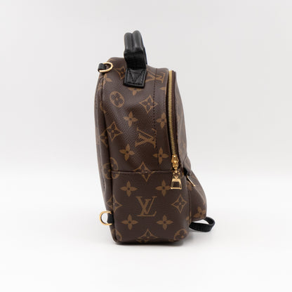 Palm Springs Backpack Mini Monogram Macassar