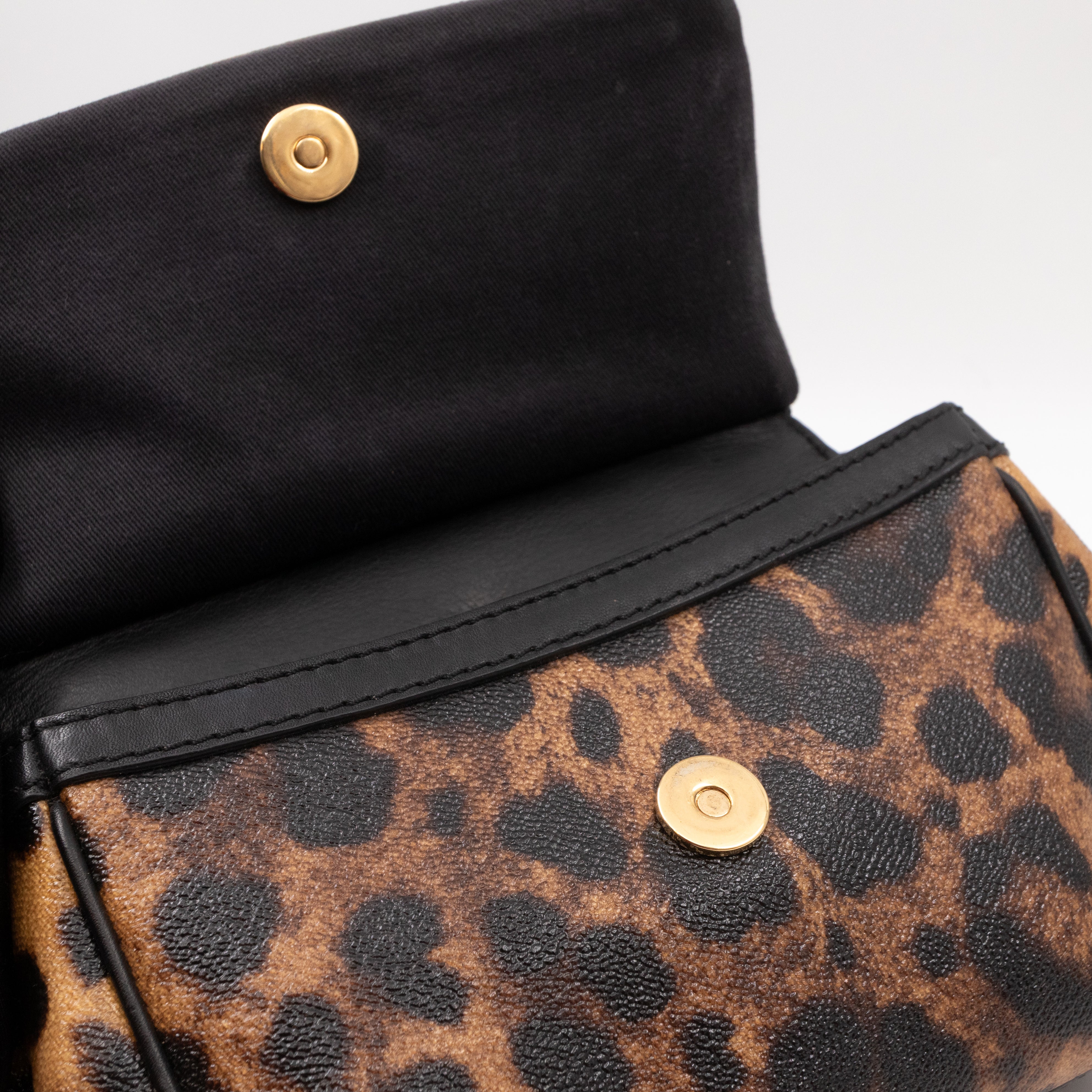 Sicily Mini Leopard Print Coated Canvas