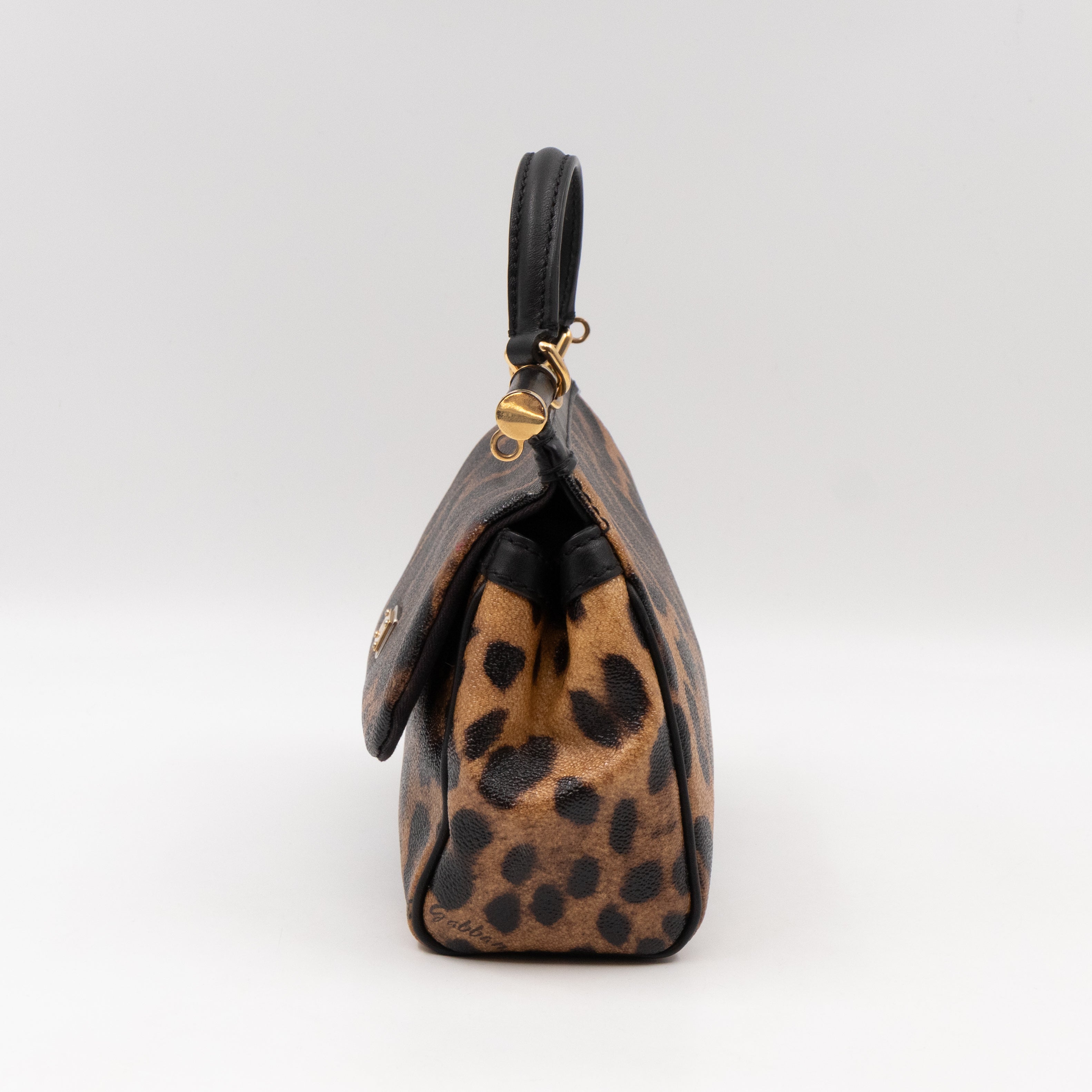 Sicily Mini Leopard Print Coated Canvas
