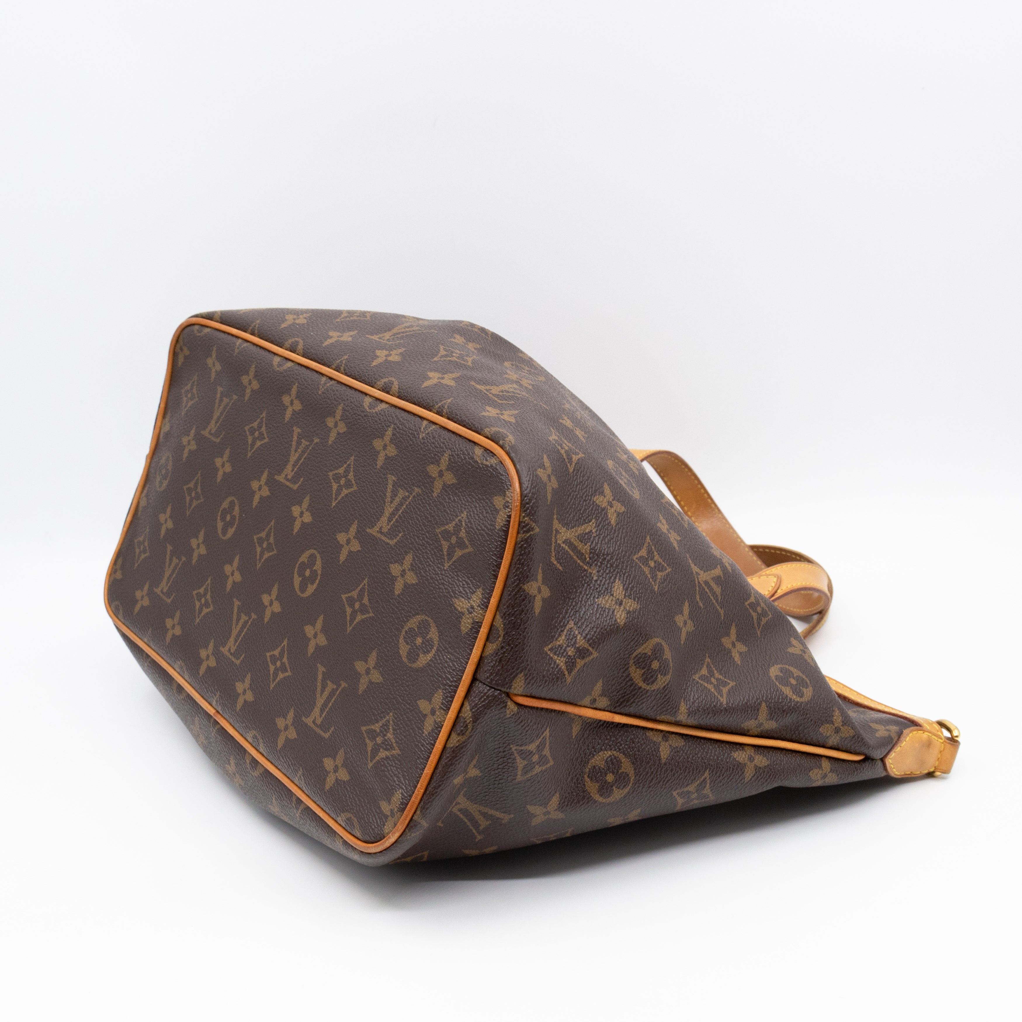 Palermo PM Monogram