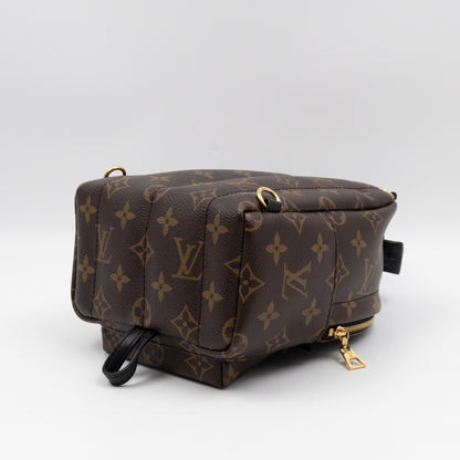 Palm Springs Backpack Mini Monogram Macassar