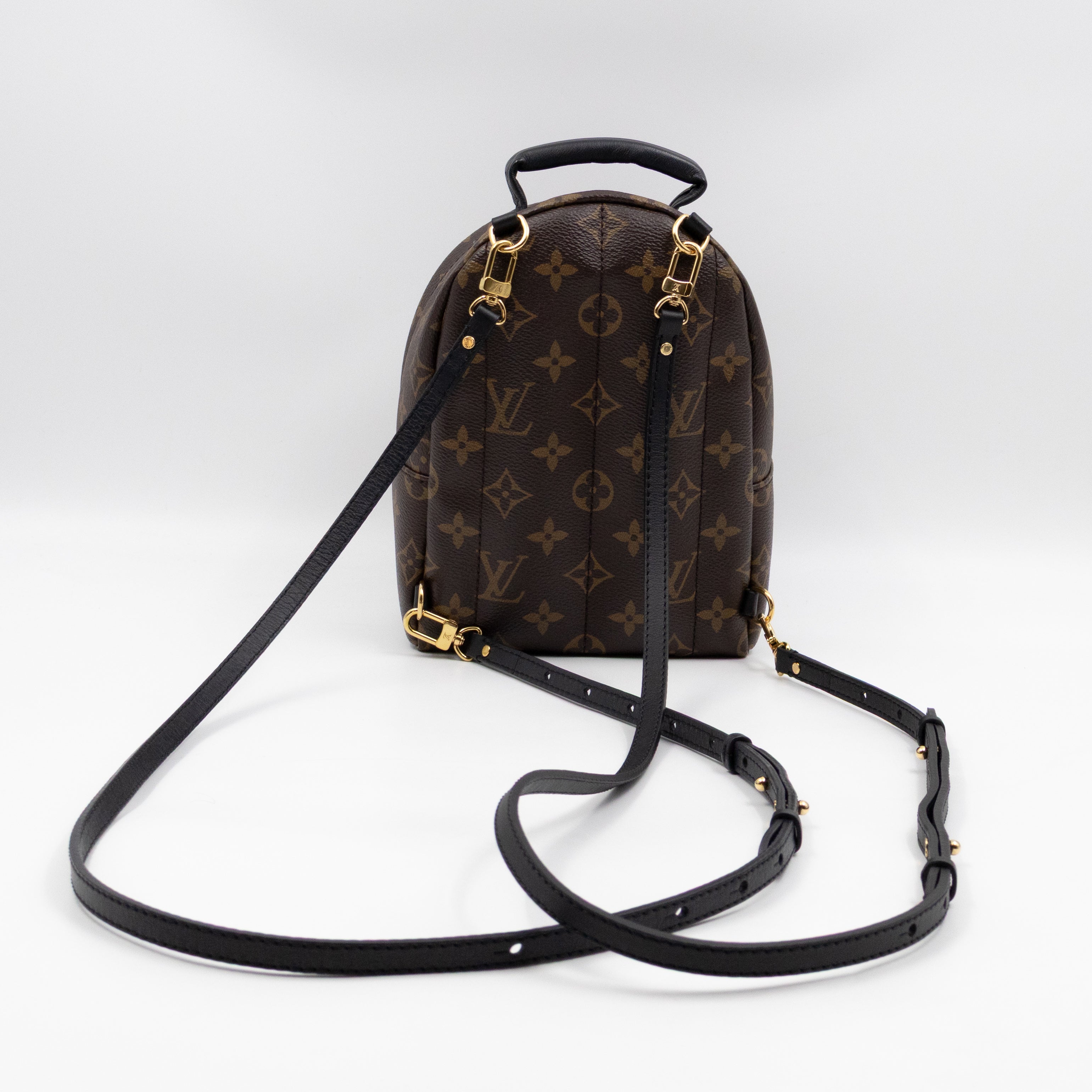 Palm Springs Backpack Mini Monogram Macassar