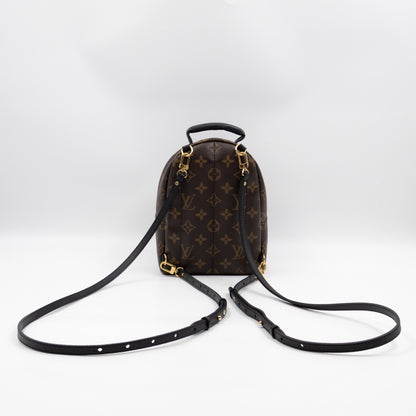 Palm Springs Backpack Mini Monogram Macassar