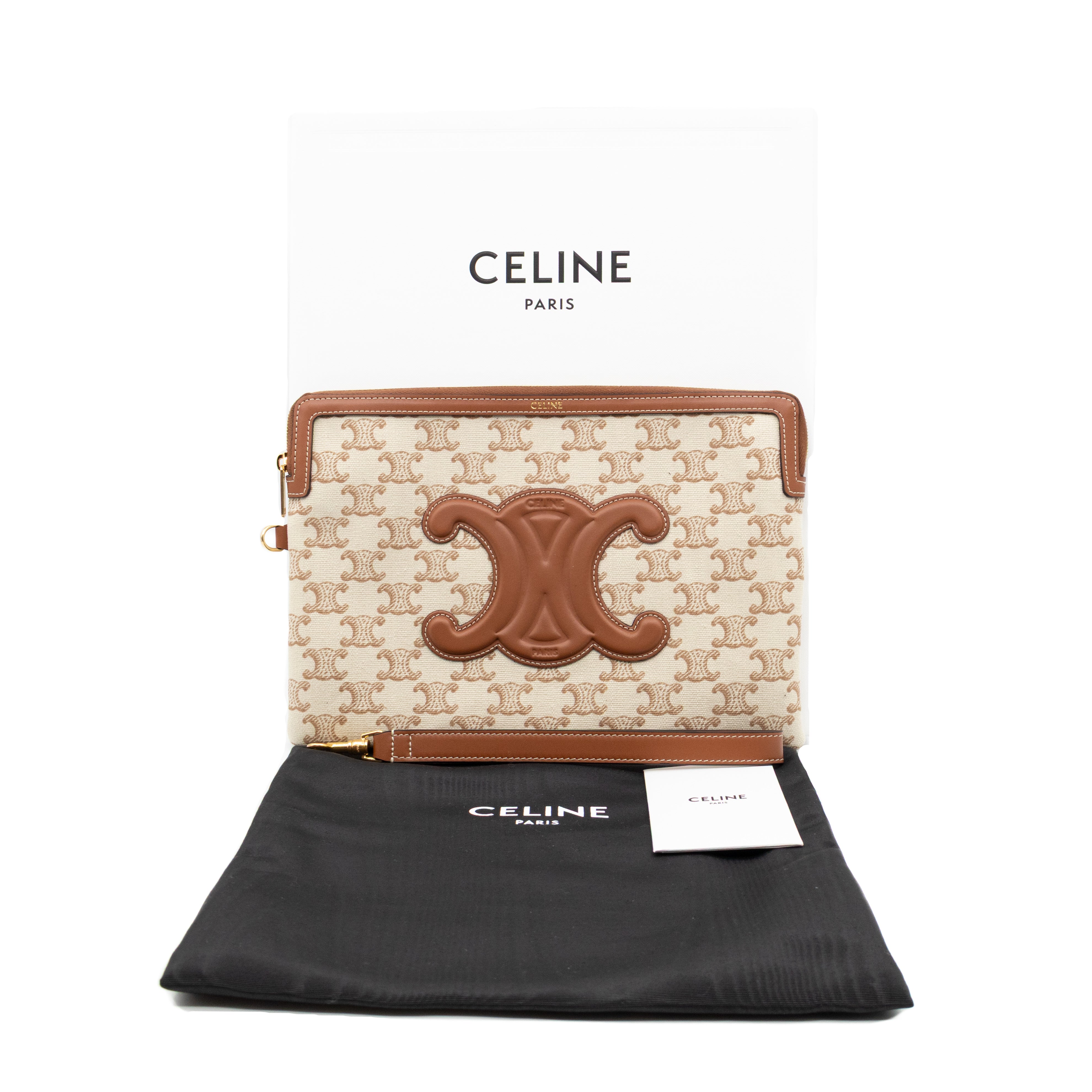 Small Pouch With Strap White Triomphe Canvas