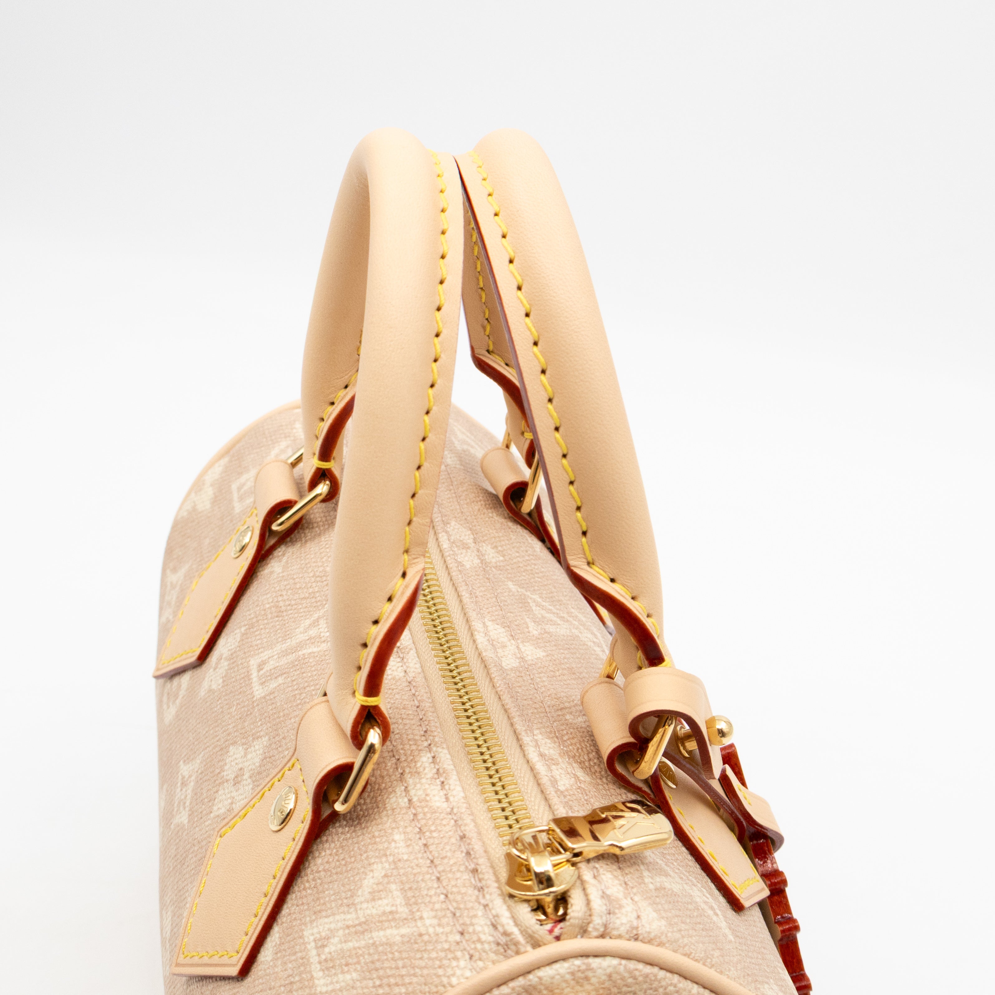 Speedy 20 Bandouliere Meowgram Canvas