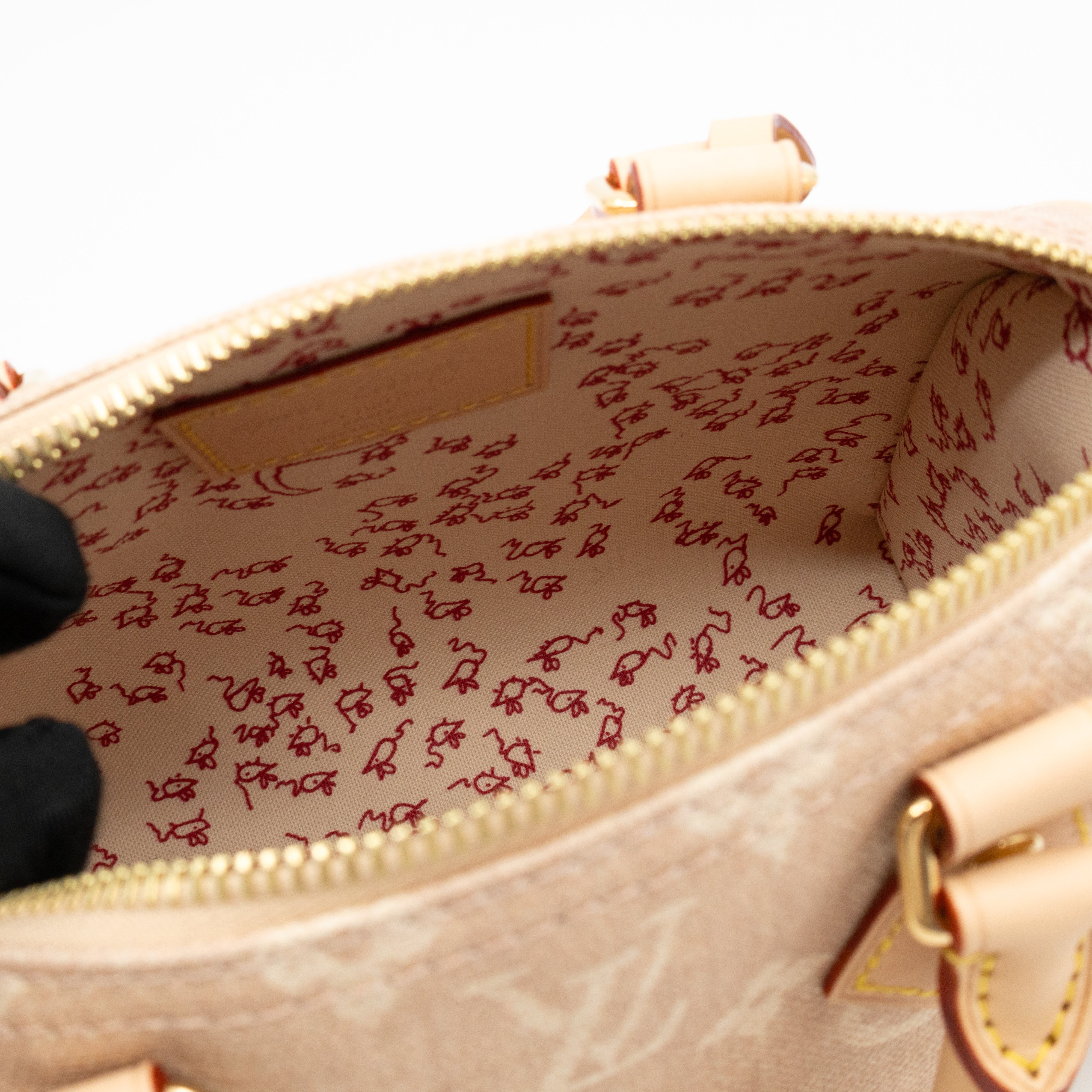 Speedy 20 Bandouliere Meowgram Canvas