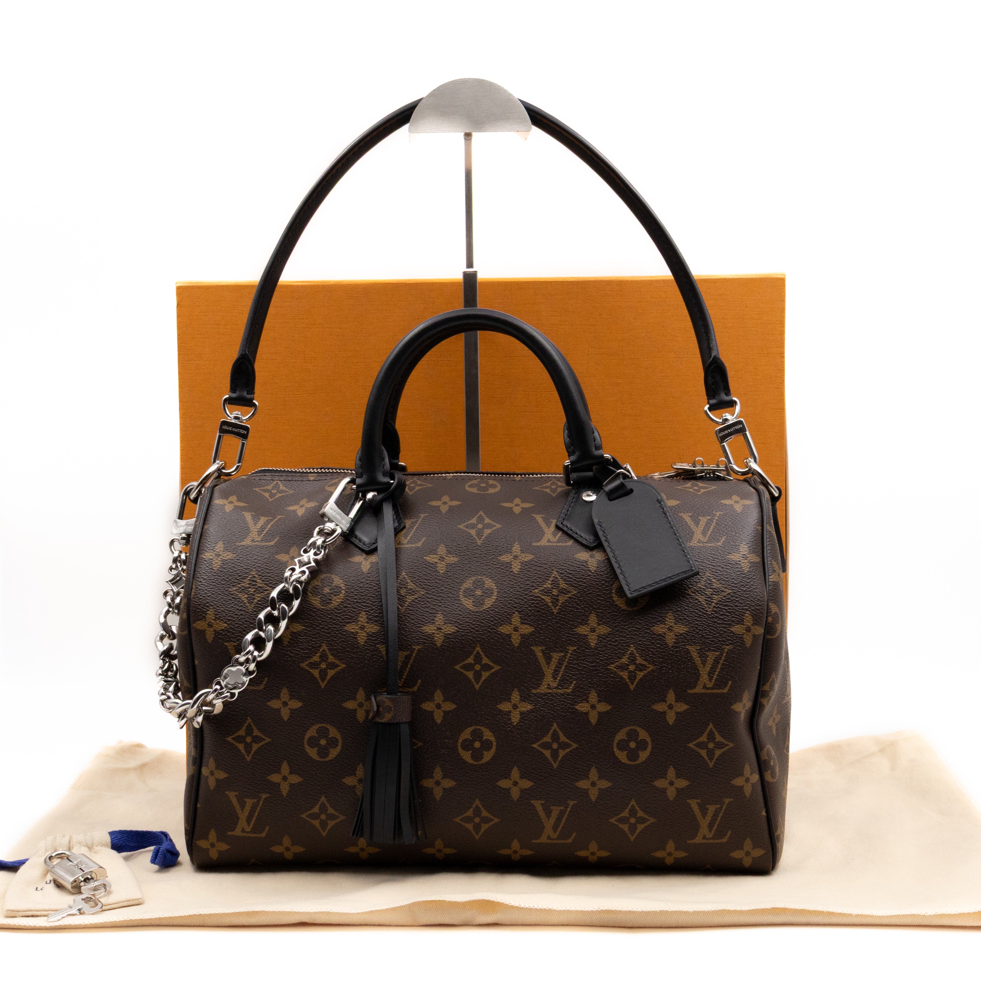 Speedy Soft 30 Dark Monogram