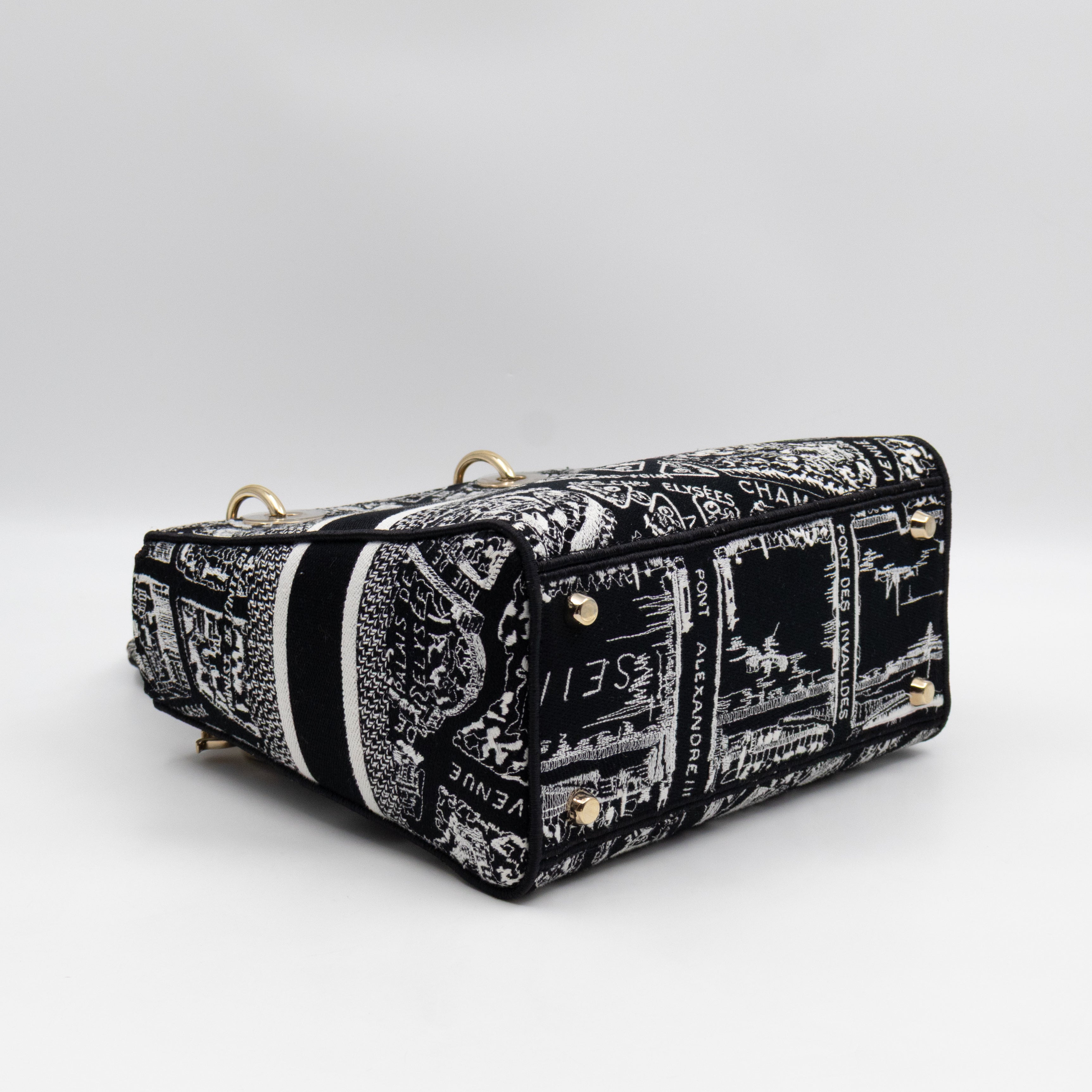 Lady D-Lite Medium Plan de Paris Black Canvas Embroidery Cannage