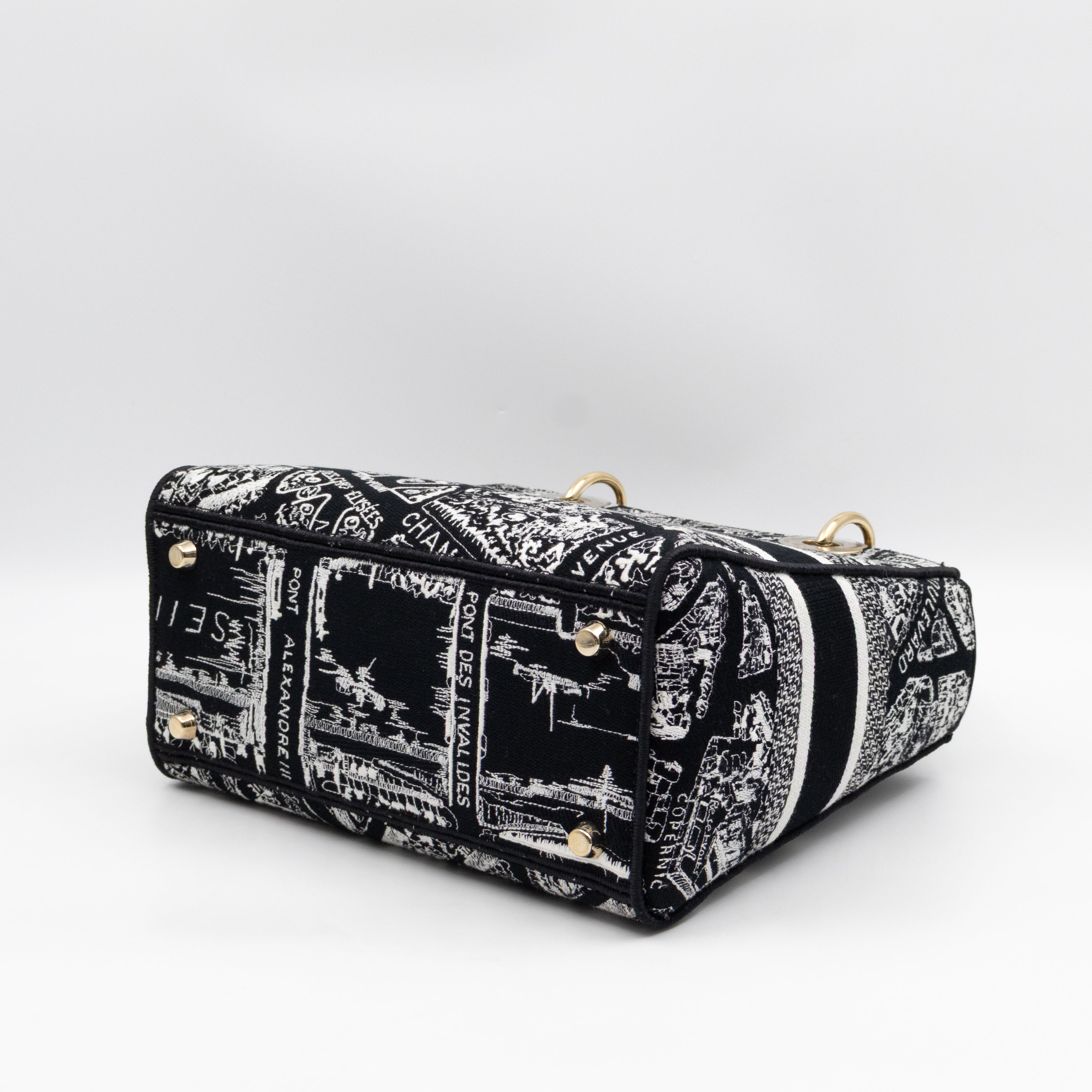 Lady D-Lite Medium Plan de Paris Black Canvas Embroidery Cannage