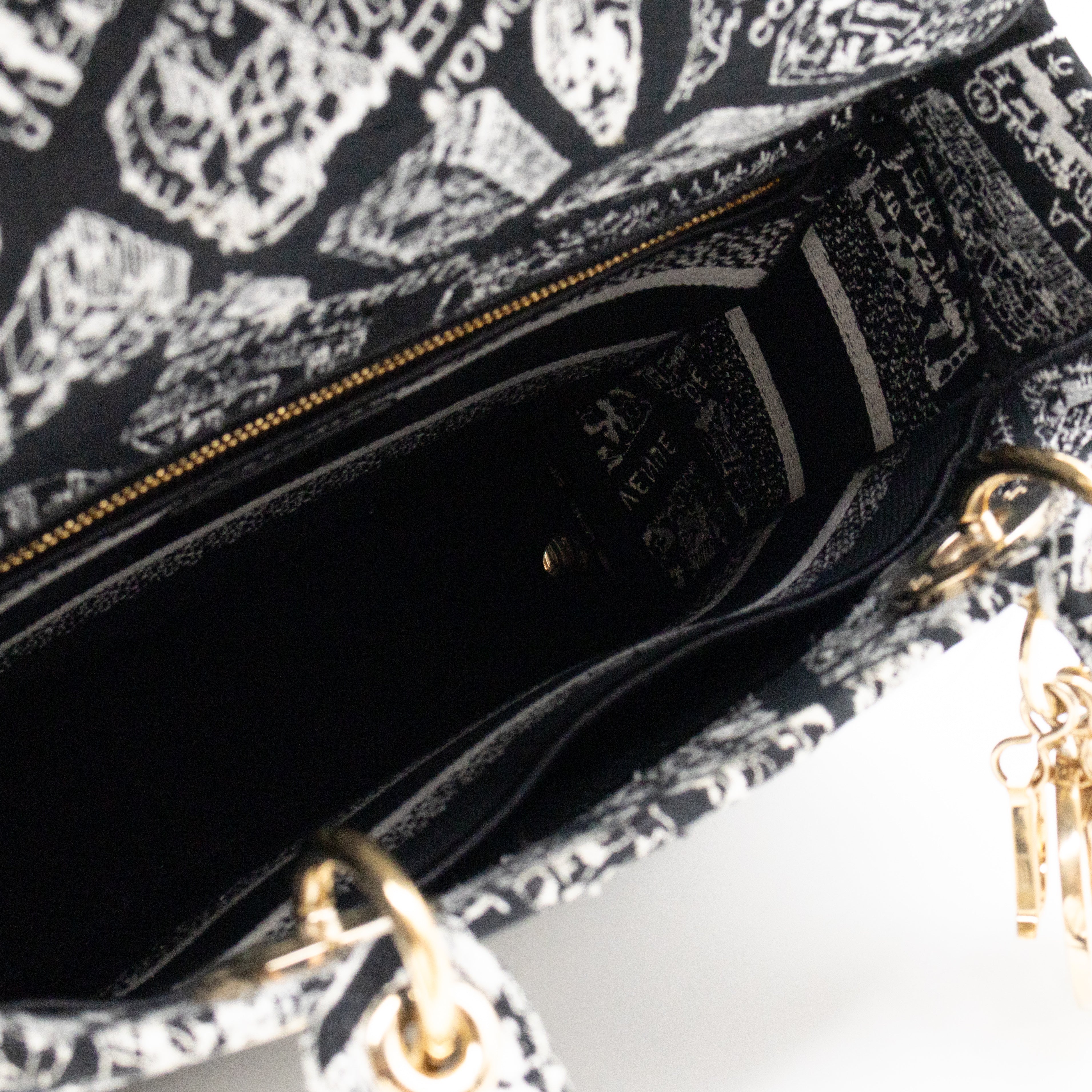 Lady D-Lite Medium Plan de Paris Black Canvas Embroidery Cannage