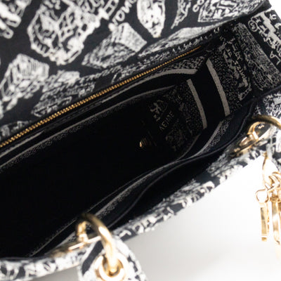 Lady D-Lite Medium Plan de Paris Black Canvas Embroidery Cannage