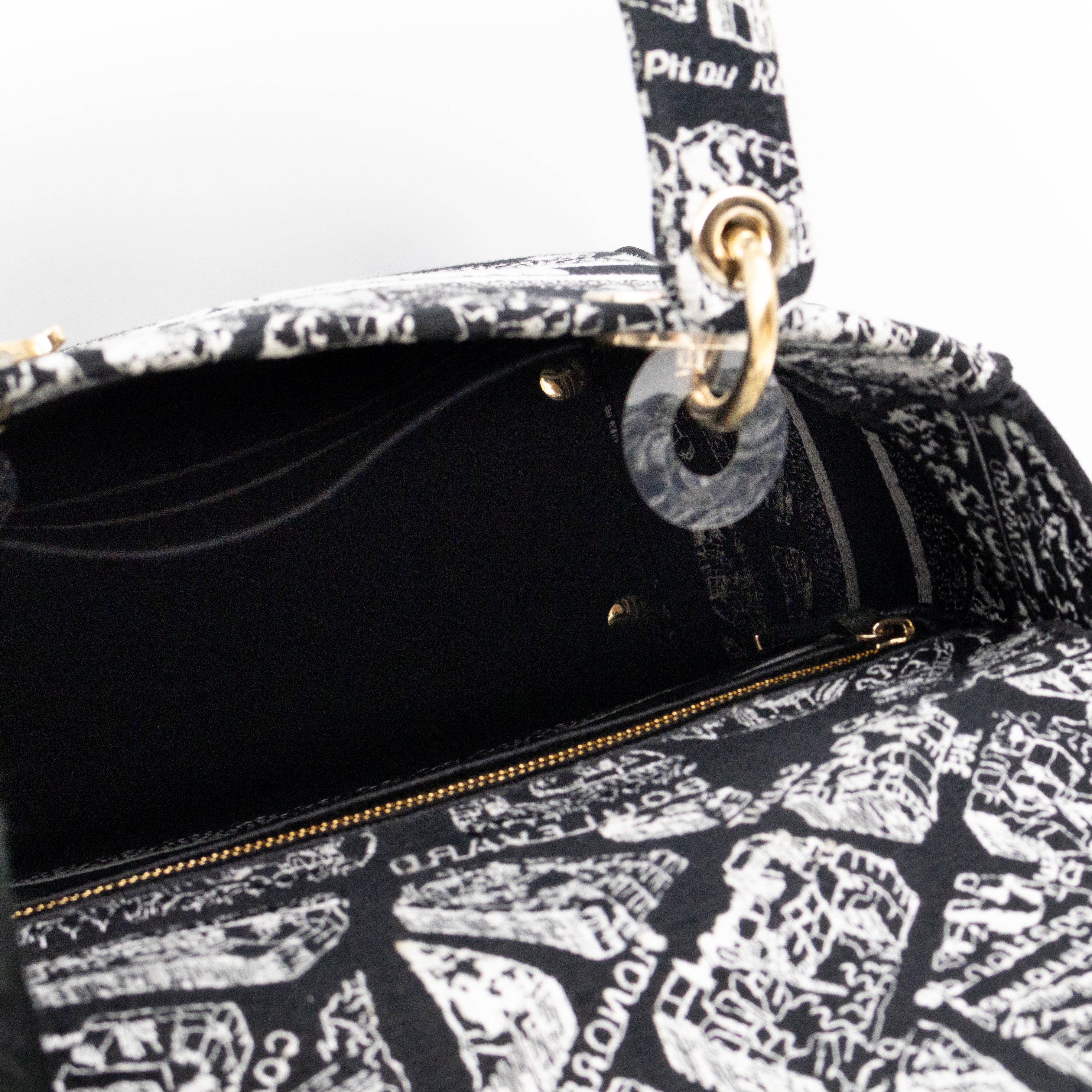 Lady D-Lite Medium Plan de Paris Black Canvas Embroidery Cannage