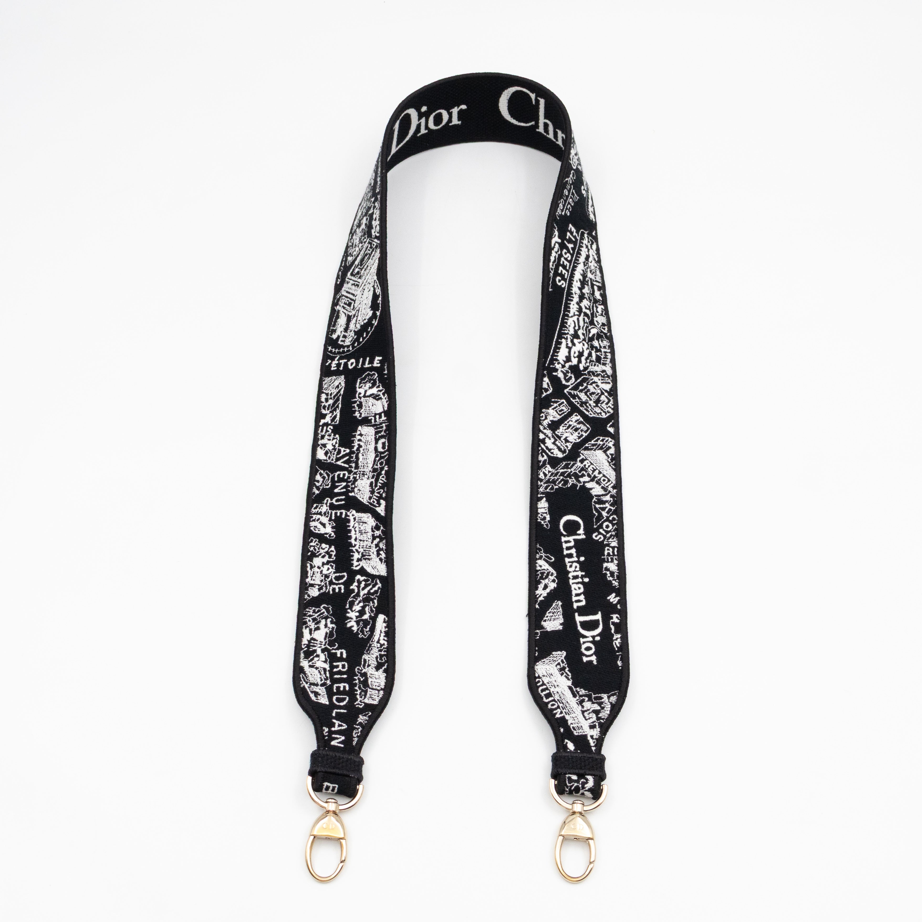 Lady D-Lite Medium Plan de Paris Black Canvas Embroidery Cannage