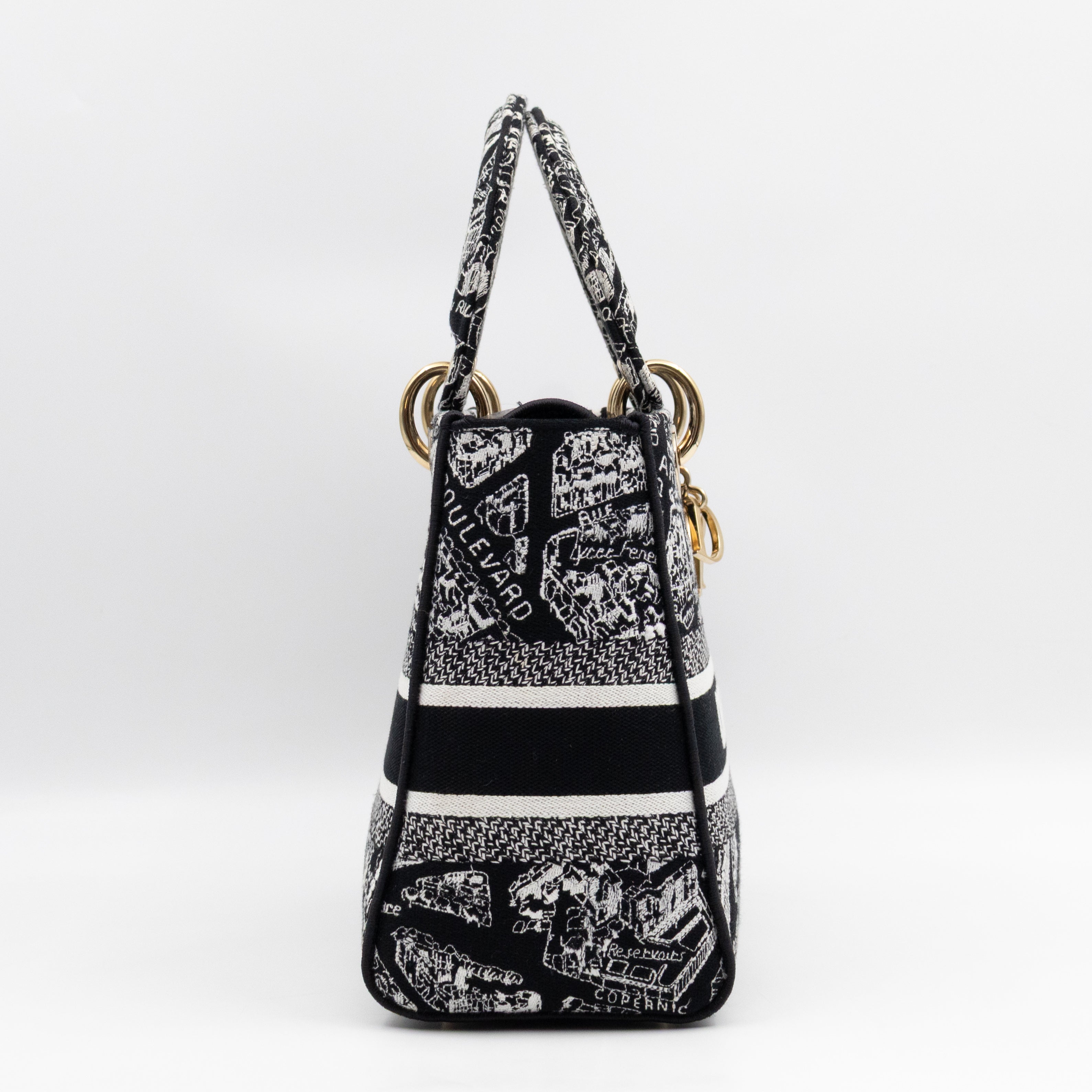 Lady D-Lite Medium Plan de Paris Black Canvas Embroidery Cannage