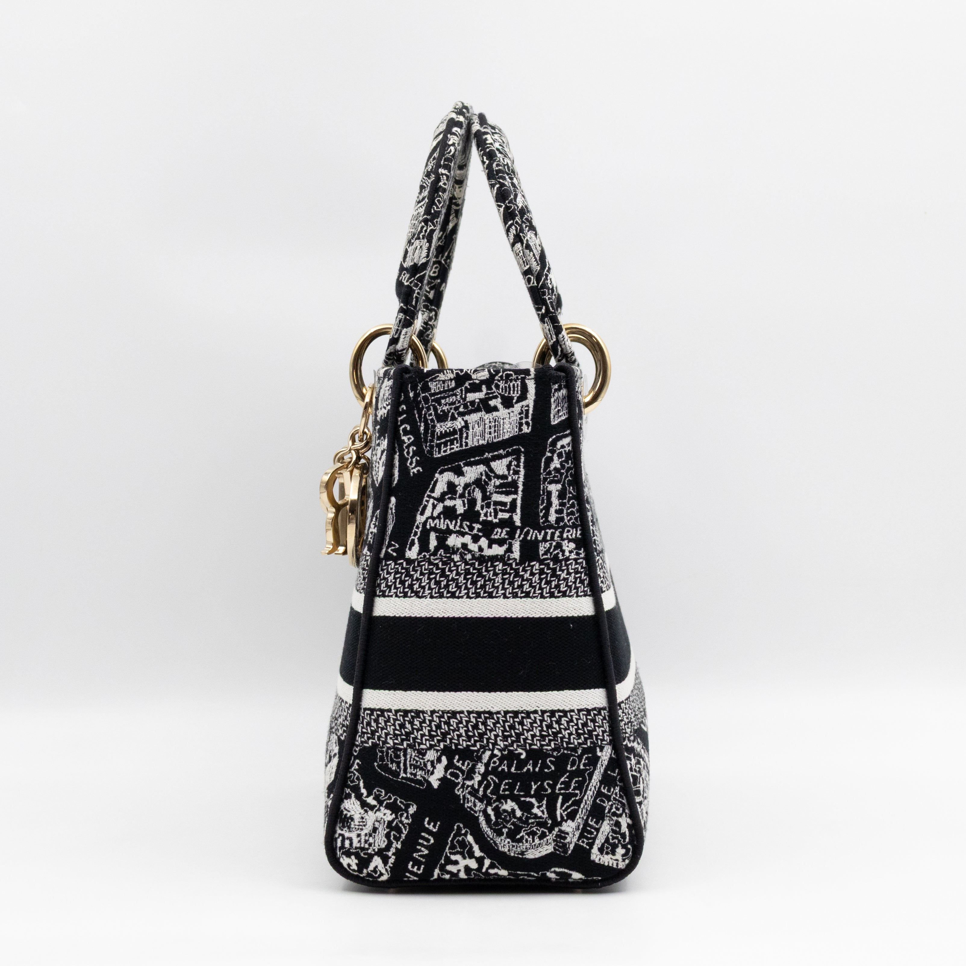 Lady D-Lite Medium Plan de Paris Black Canvas Embroidery Cannage