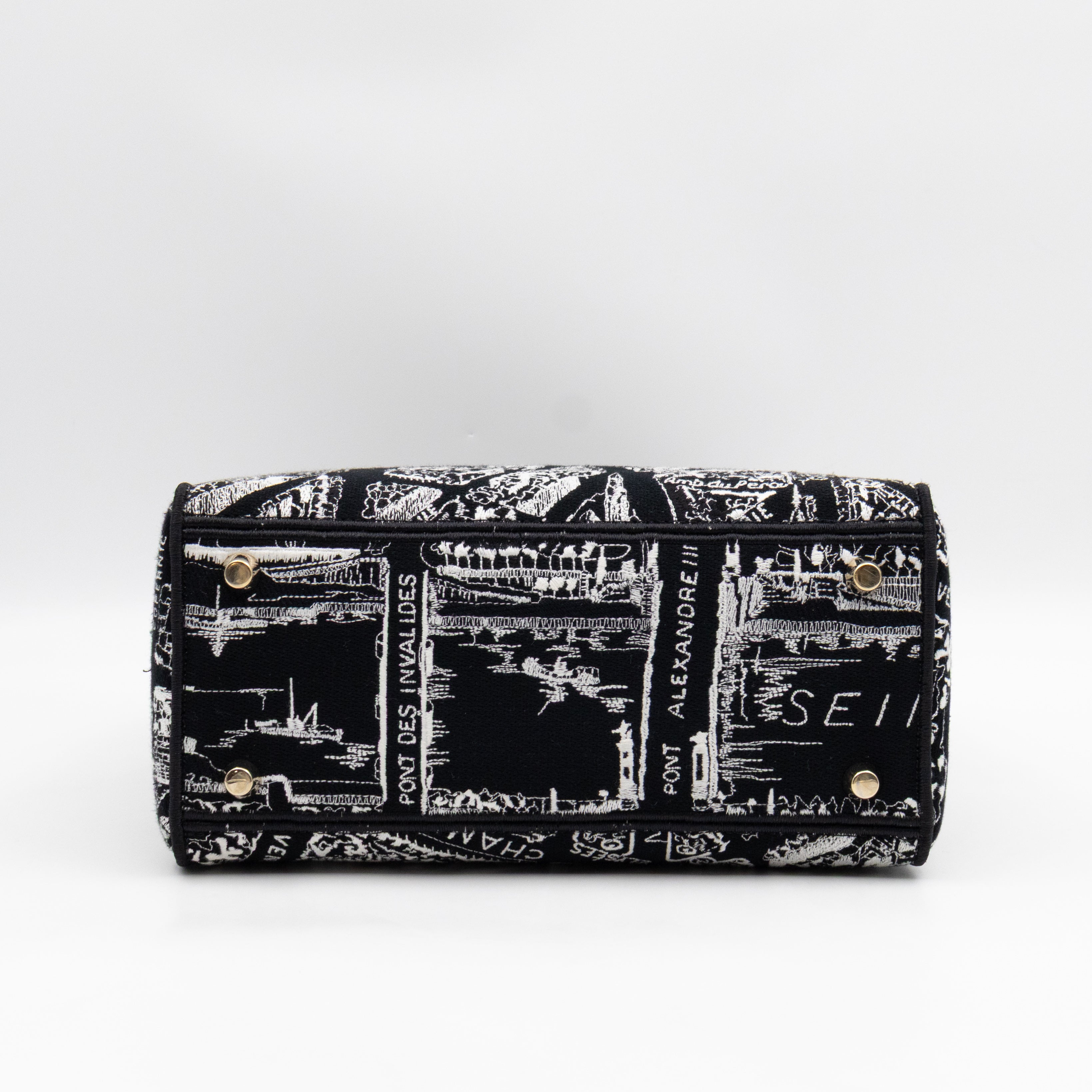 Lady D-Lite Medium Plan de Paris Black Canvas Embroidery Cannage