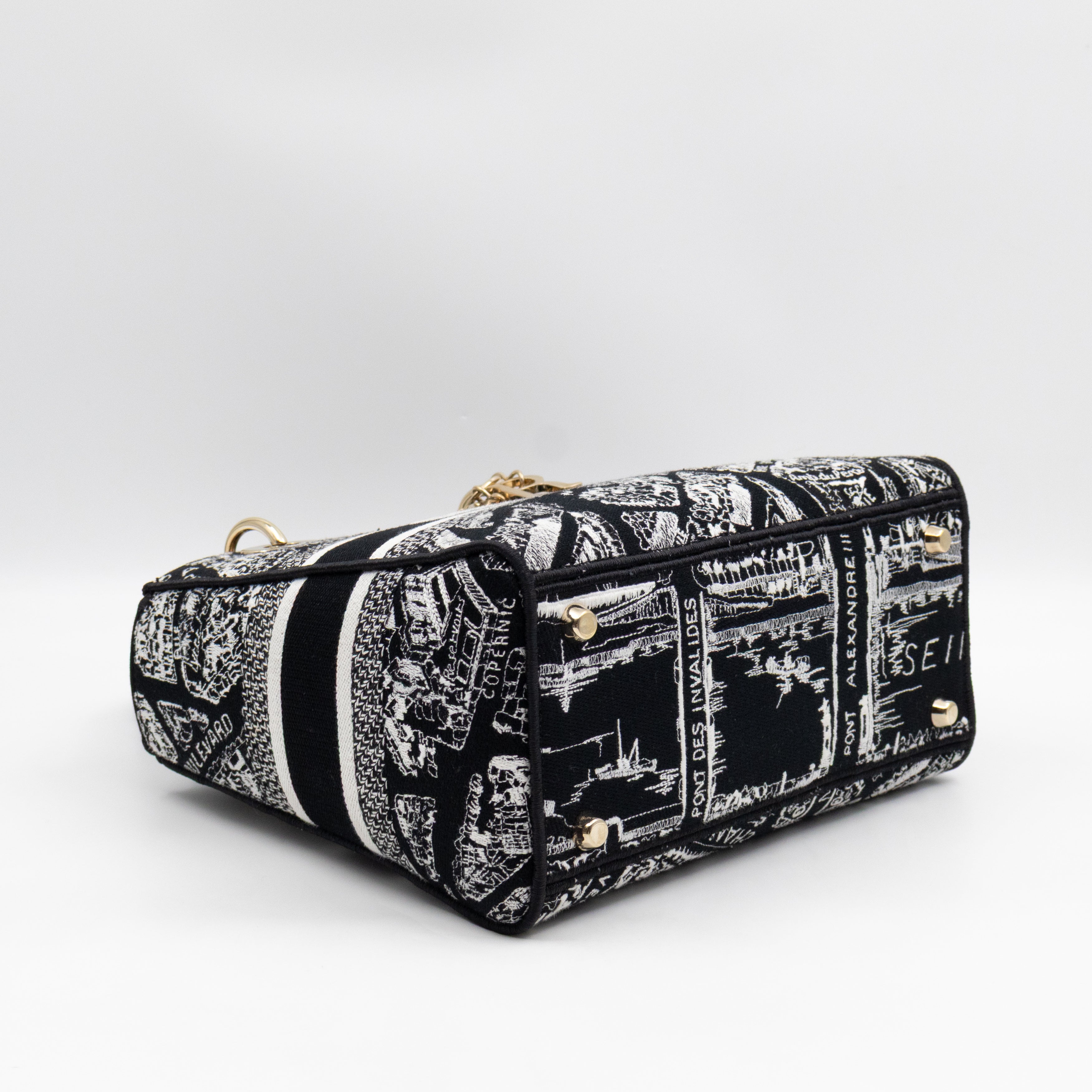 Lady D-Lite Medium Plan de Paris Black Canvas Embroidery Cannage