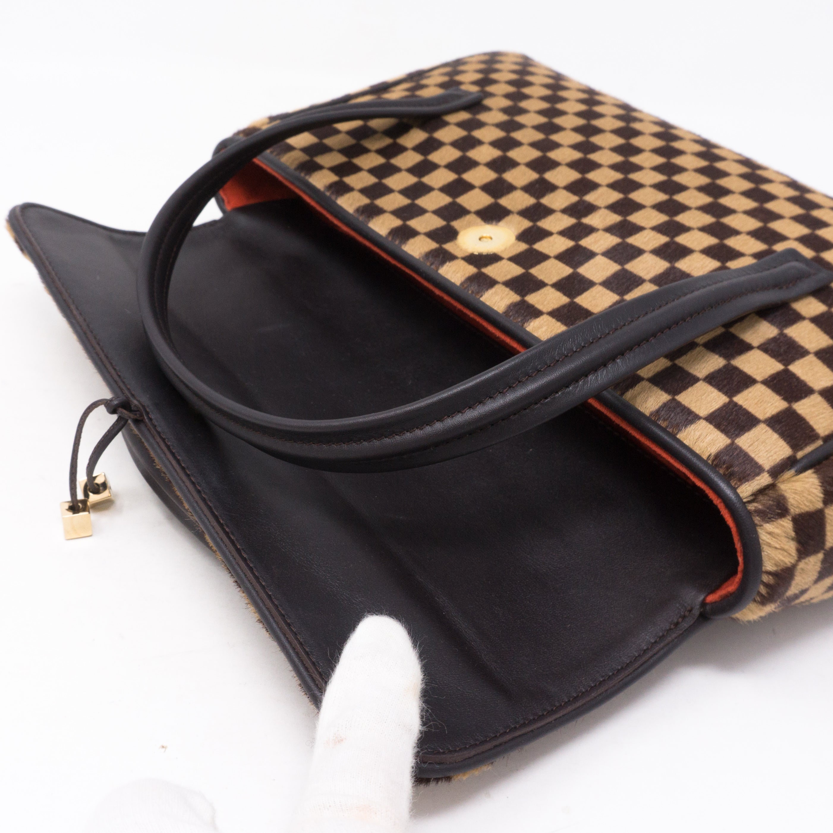 Lionne Damier Sauvage
