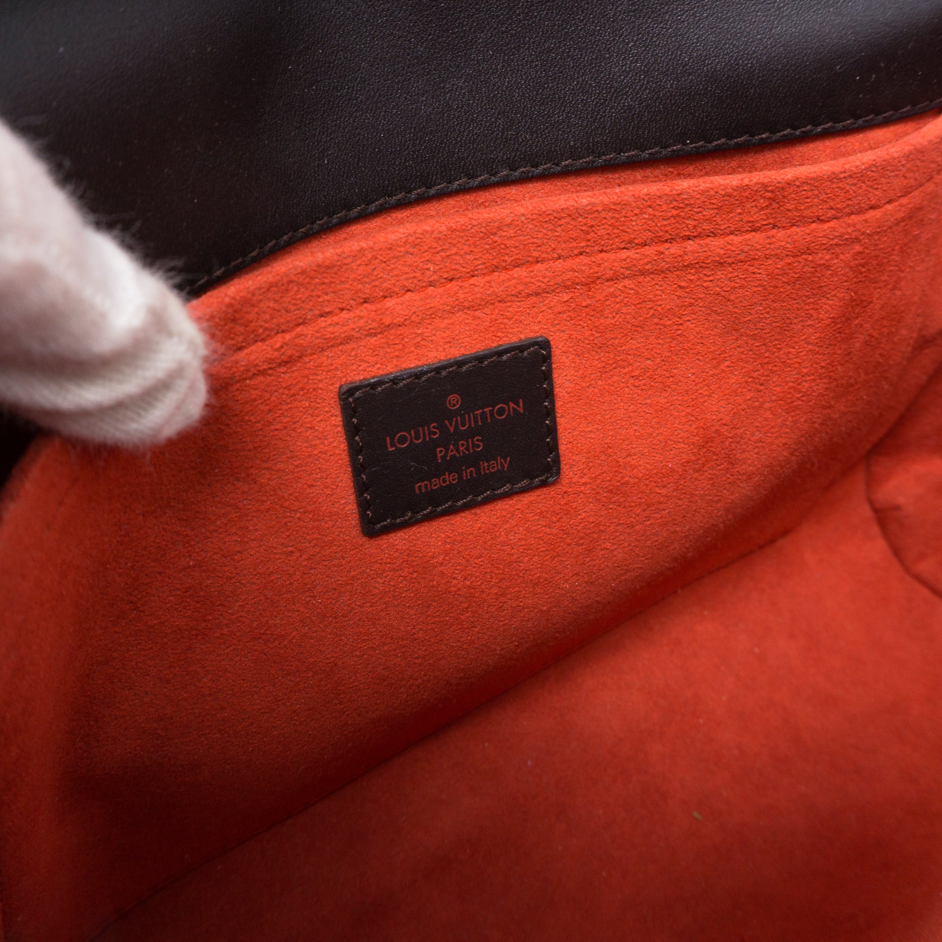 Lionne Damier Sauvage