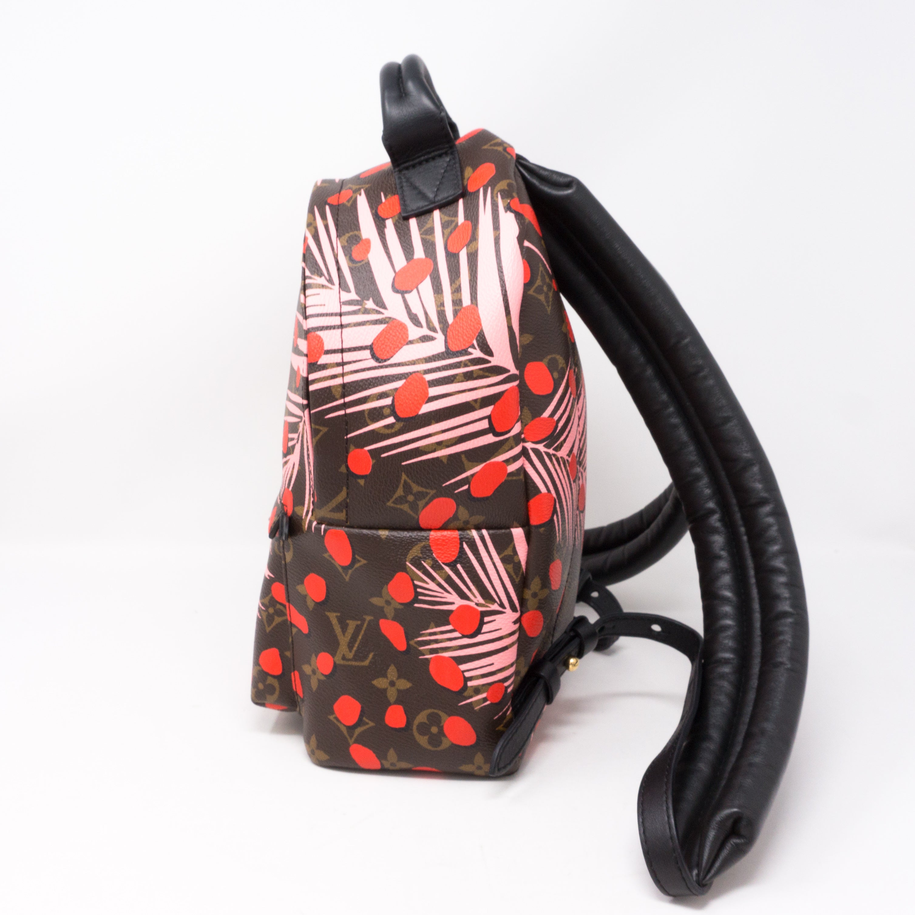 Palm Springs PM Backpack Monogram Jungle Dots