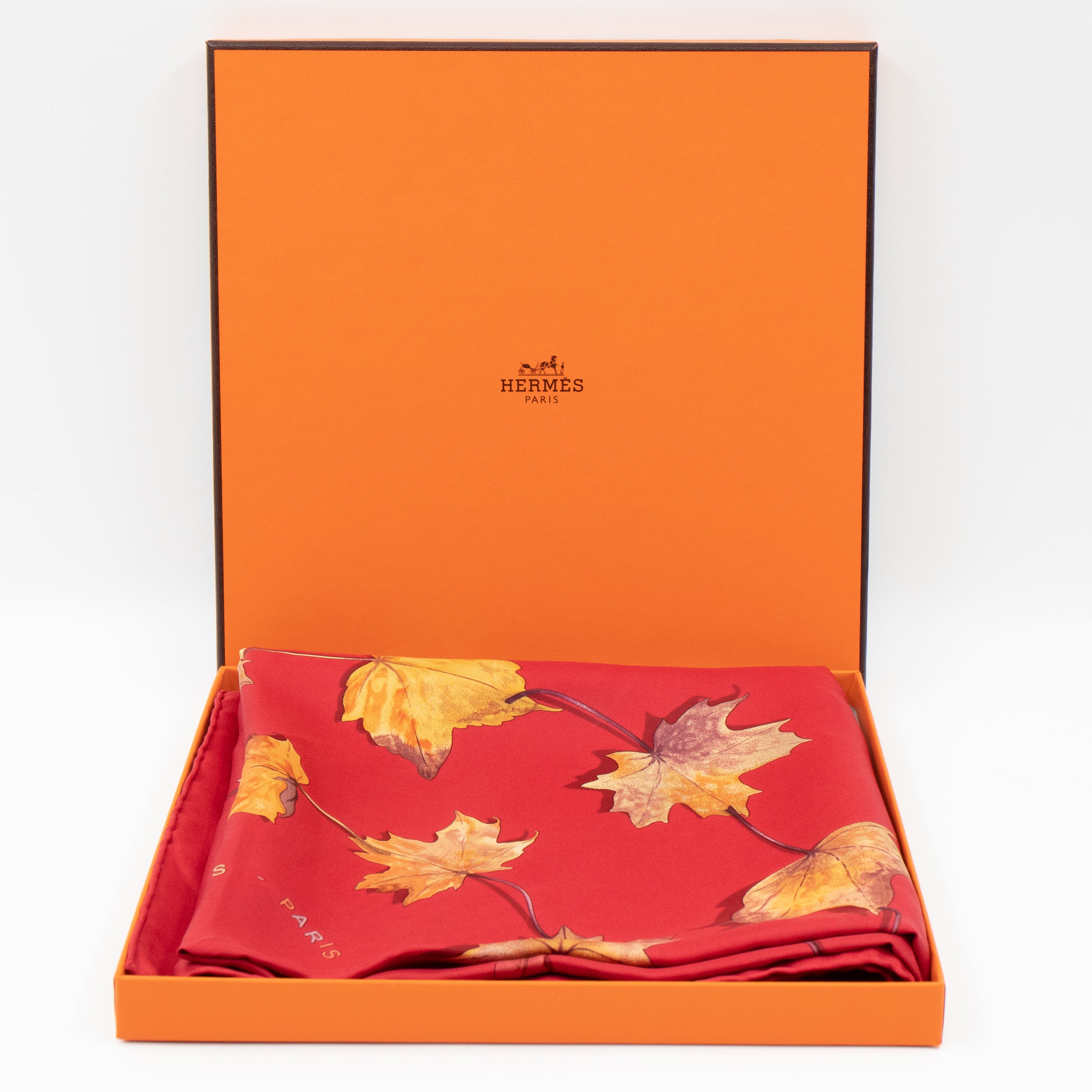 Silk Scarf 90 A Walk in the Park