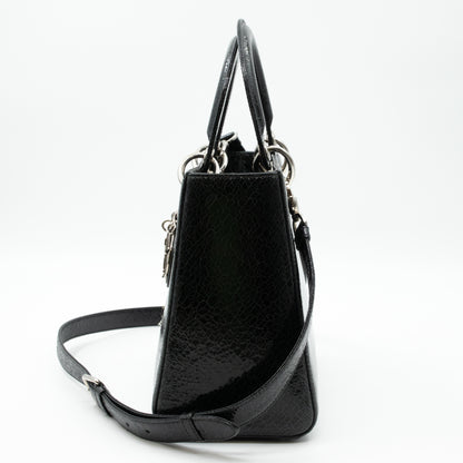 Lady Dior Medium Jeweled Swan Black Leather