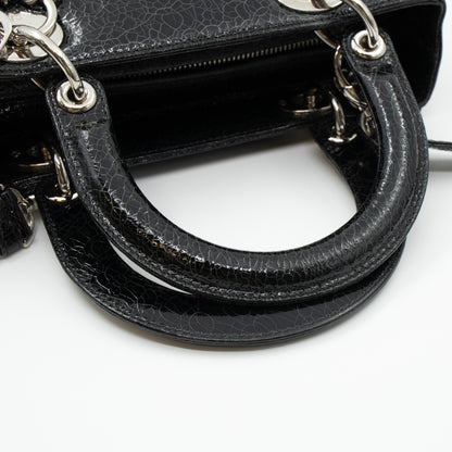 Lady Dior Medium Jeweled Swan Black Leather