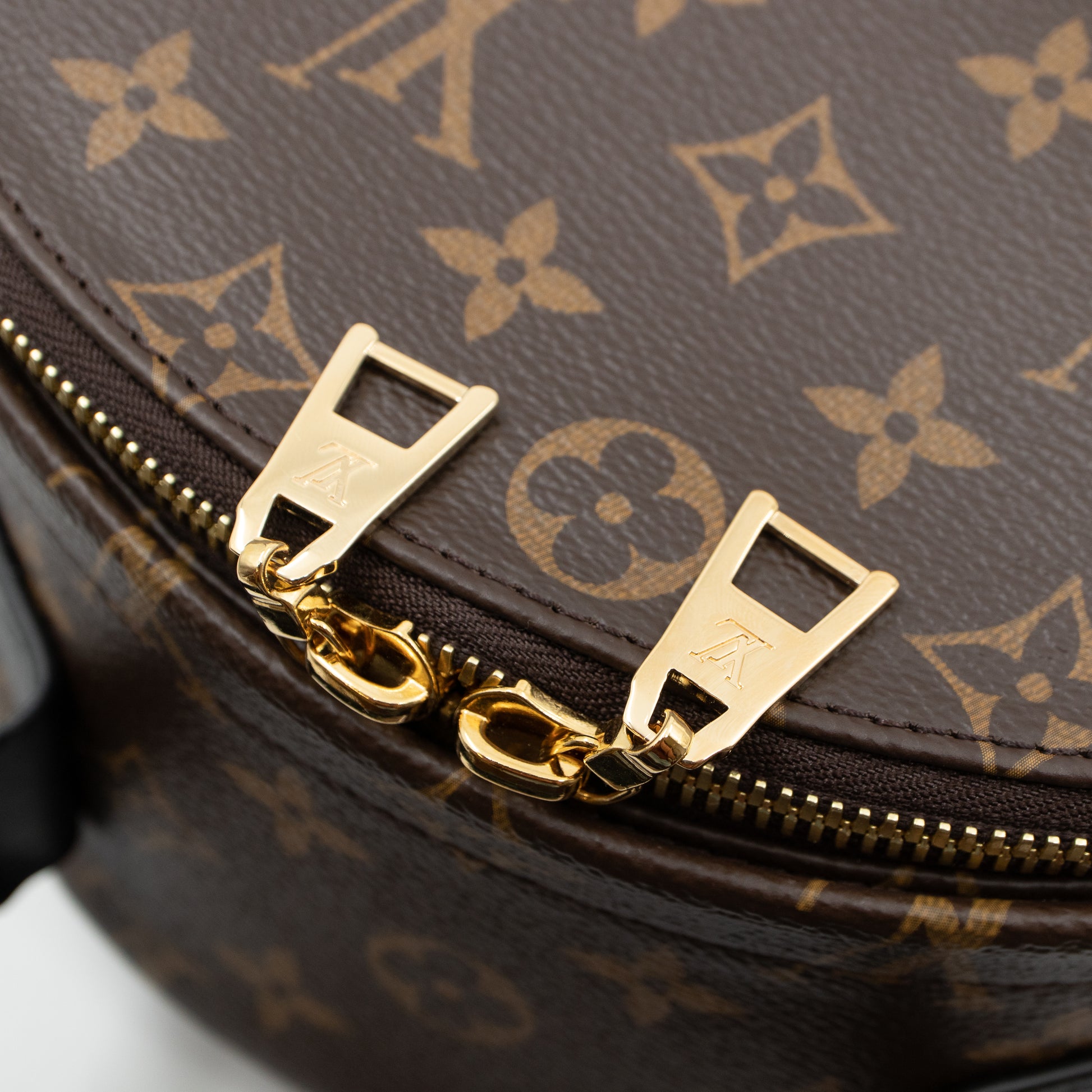 LOUIS VUITTON Monogram Palm Spring MM Backpack – GHW