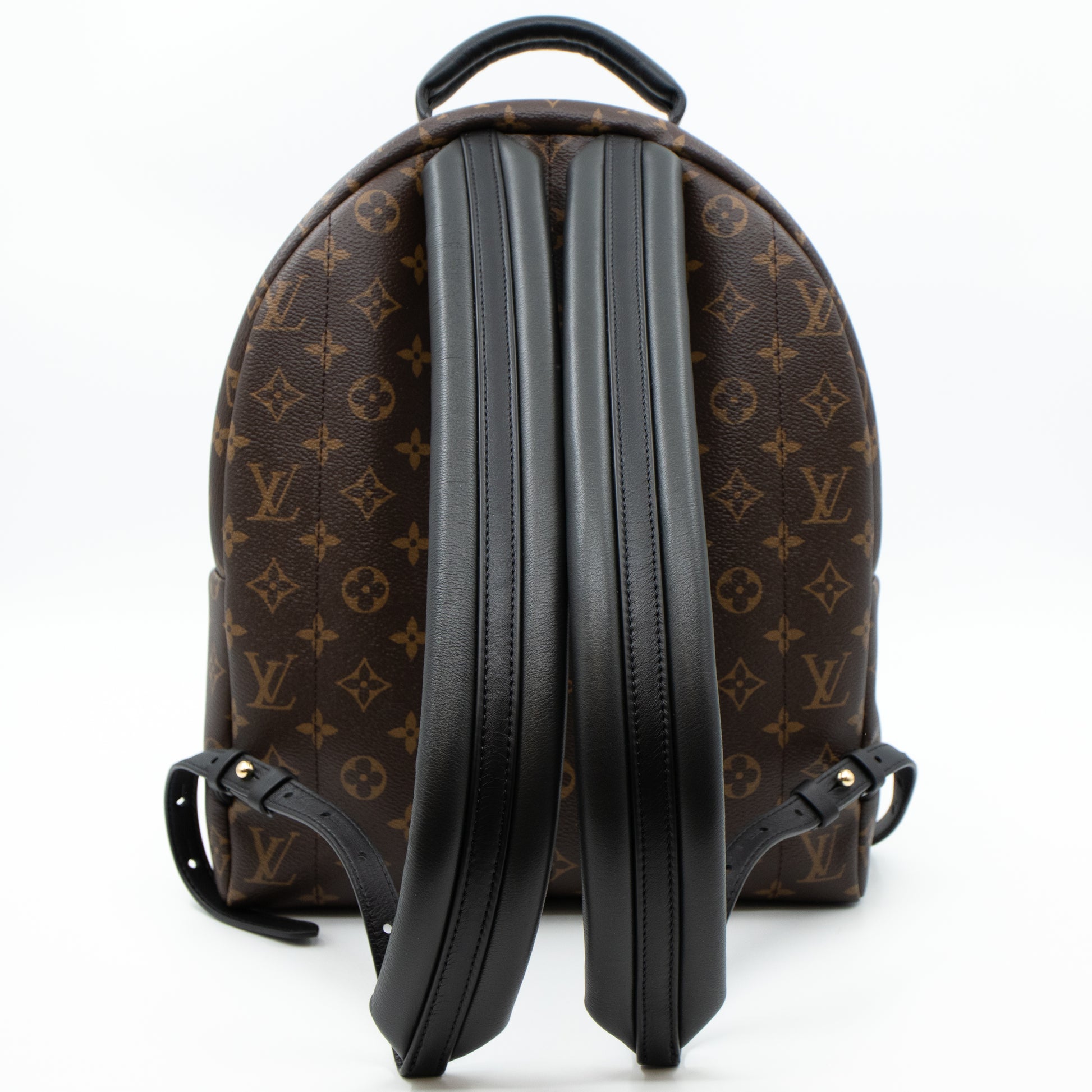 Louis Vuitton Monogram Palm Springs MM - Brown Backpacks, Handbags