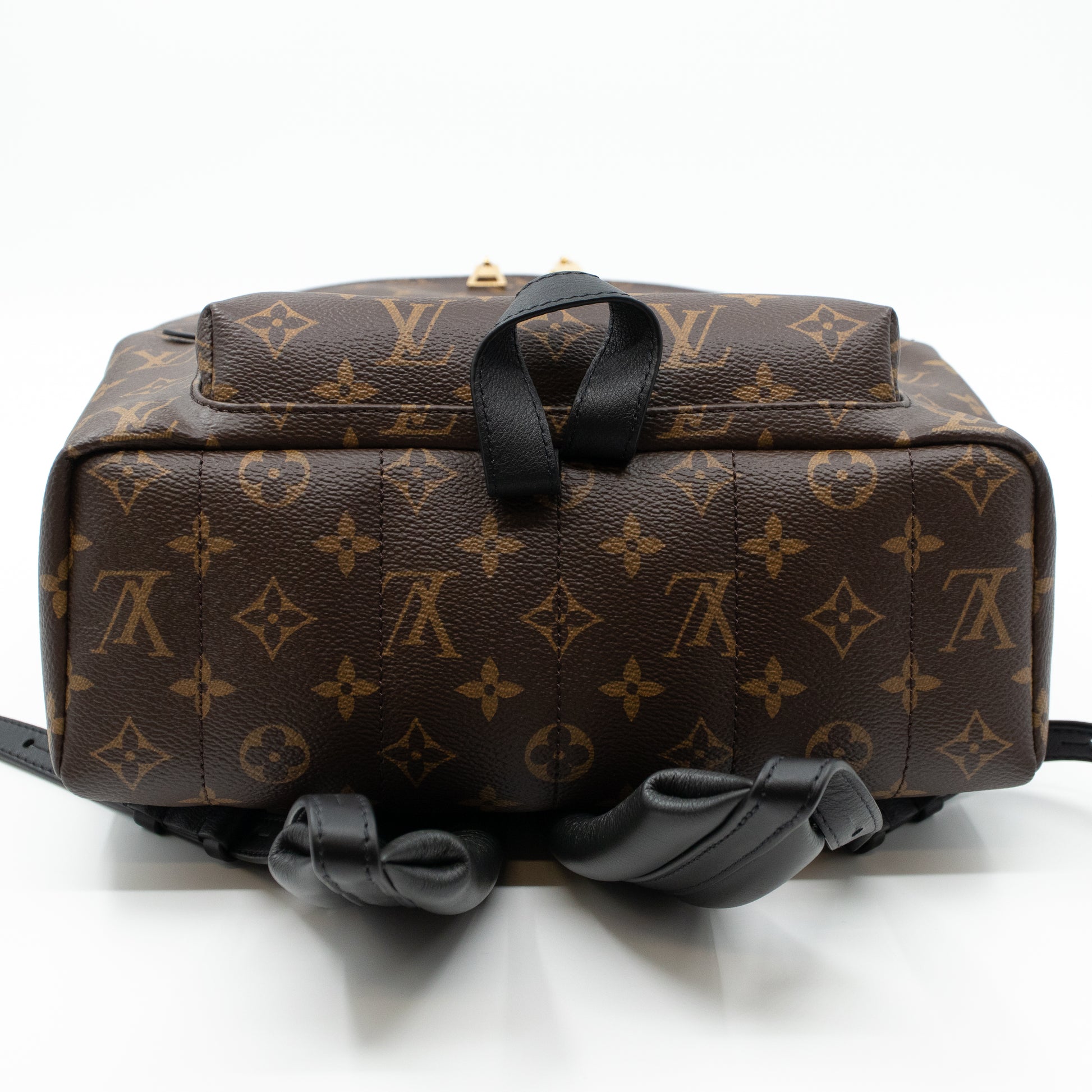 LOUIS VUITTON Monogram Palm Spring MM Backpack – GHW