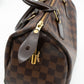Speedy 25 Damier Ebene